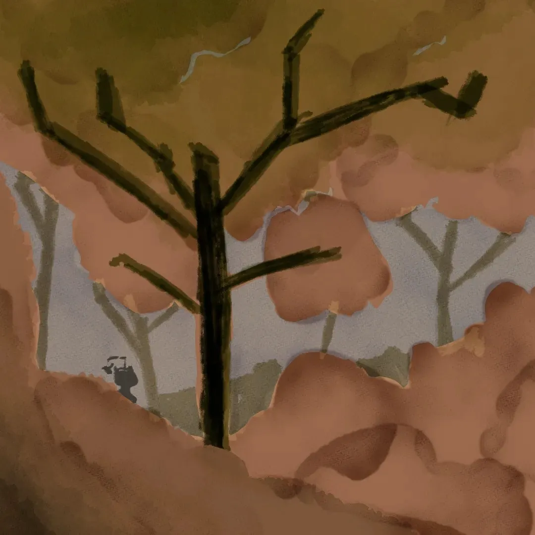 Forest with Tammy from Me